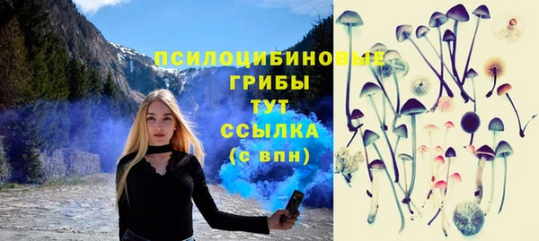 ALPHA PVP Нягань