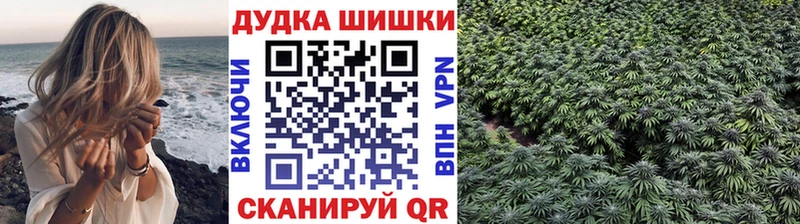 omg   Алагир  Бошки марихуана VHQ  купить  цена 